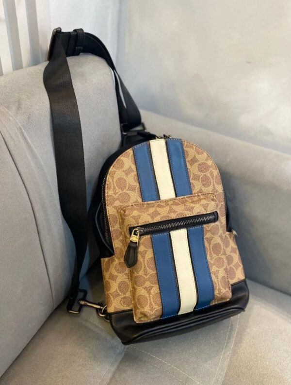 PECHERA COACH