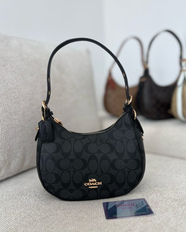 CARTERA COACH