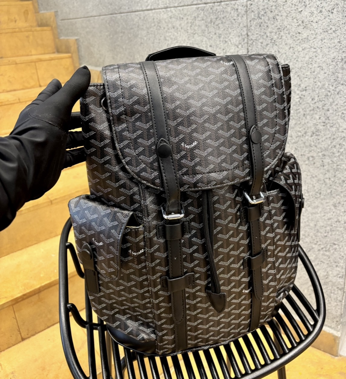 Mochila  | Alpin Goyard